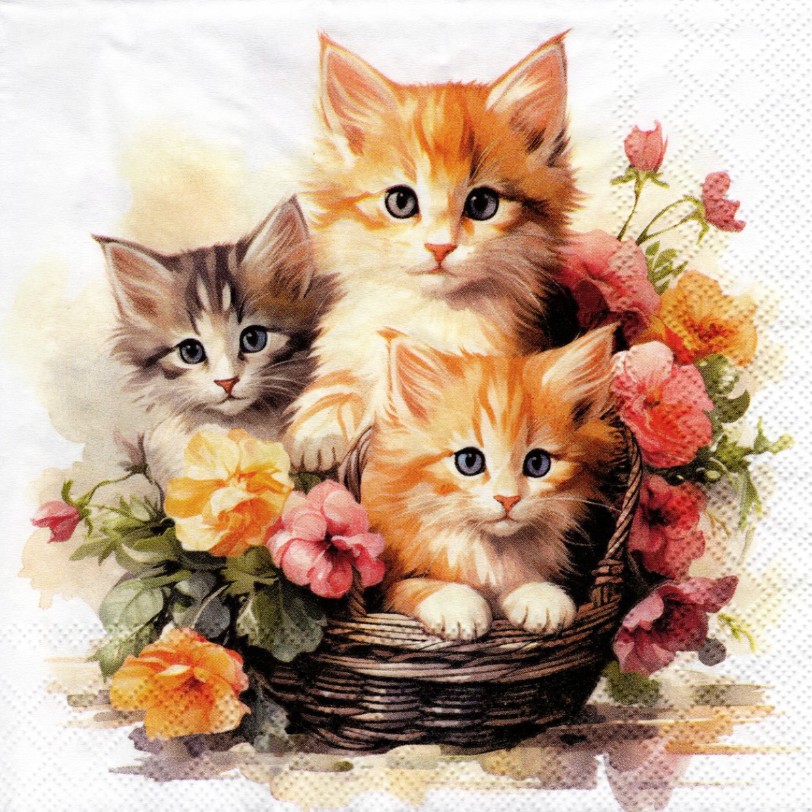 Lauasalvrätikud Kittens in Basket, 20tk