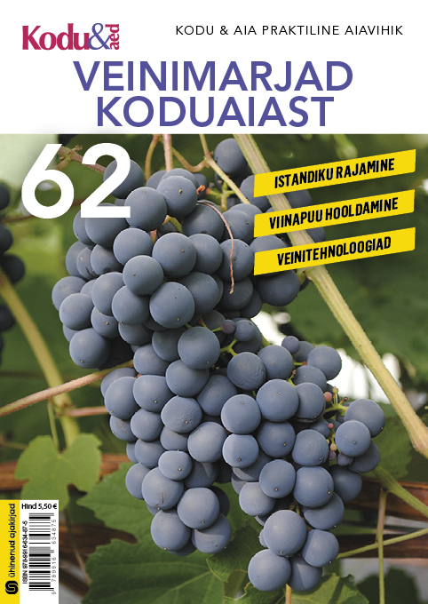 VEINIMARJAD KODUAIAST. KODU & AIA PRAKTILINE AIAVIHIK 62