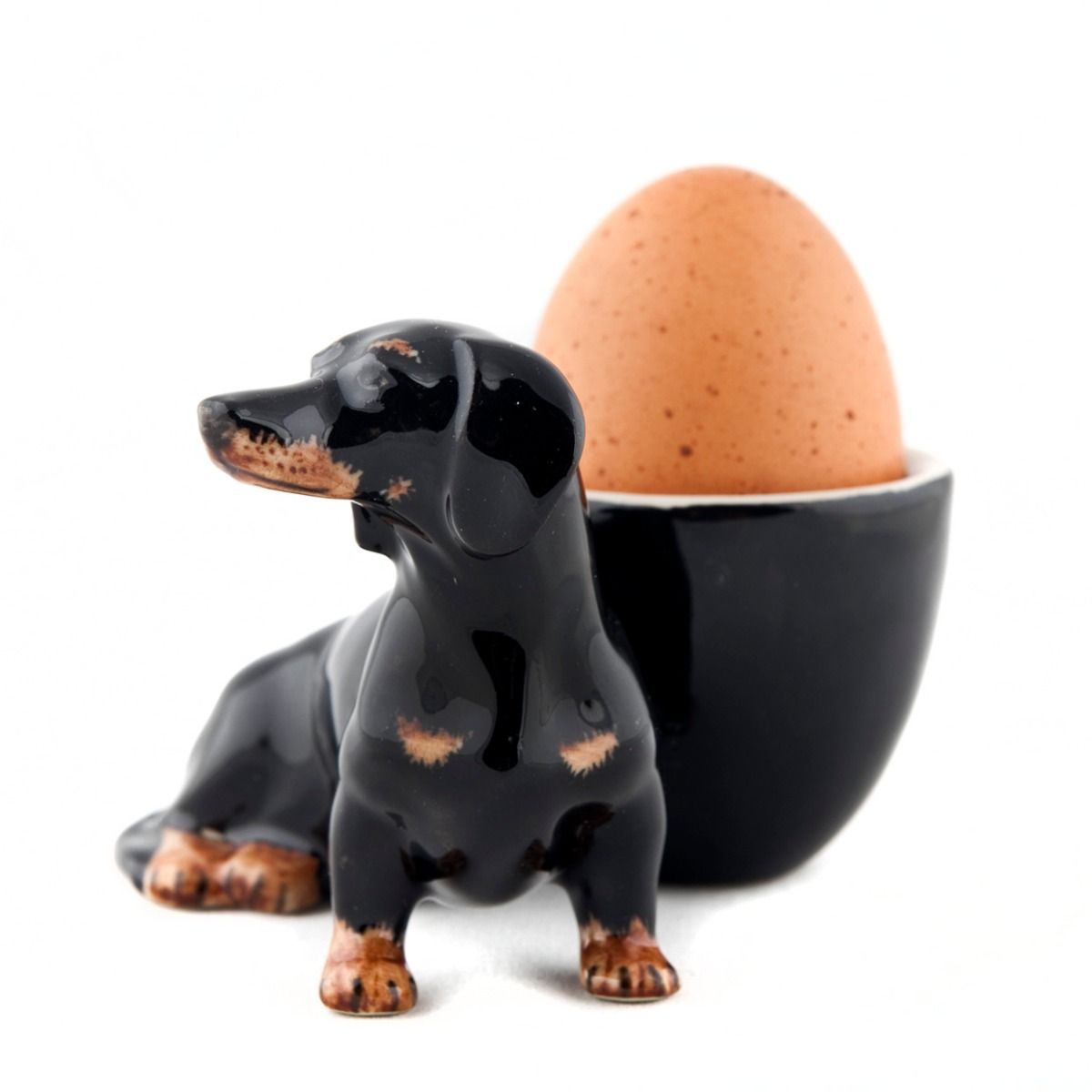 QUAIL MUNATOOS DACHSHUND