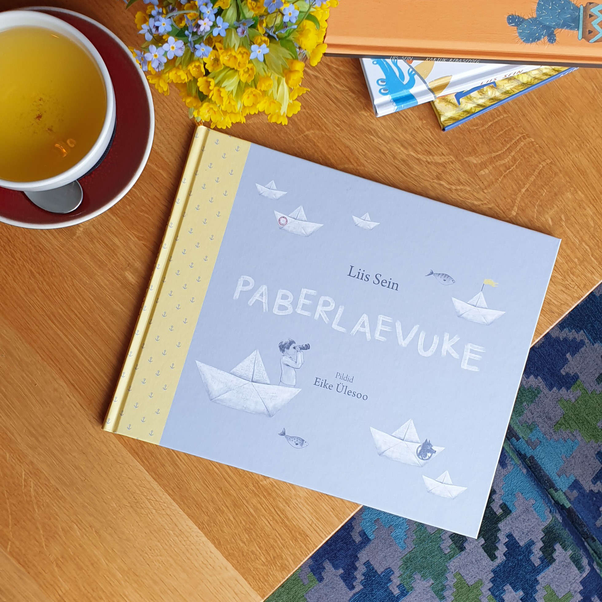 Paberlaevuke - Liis Sein