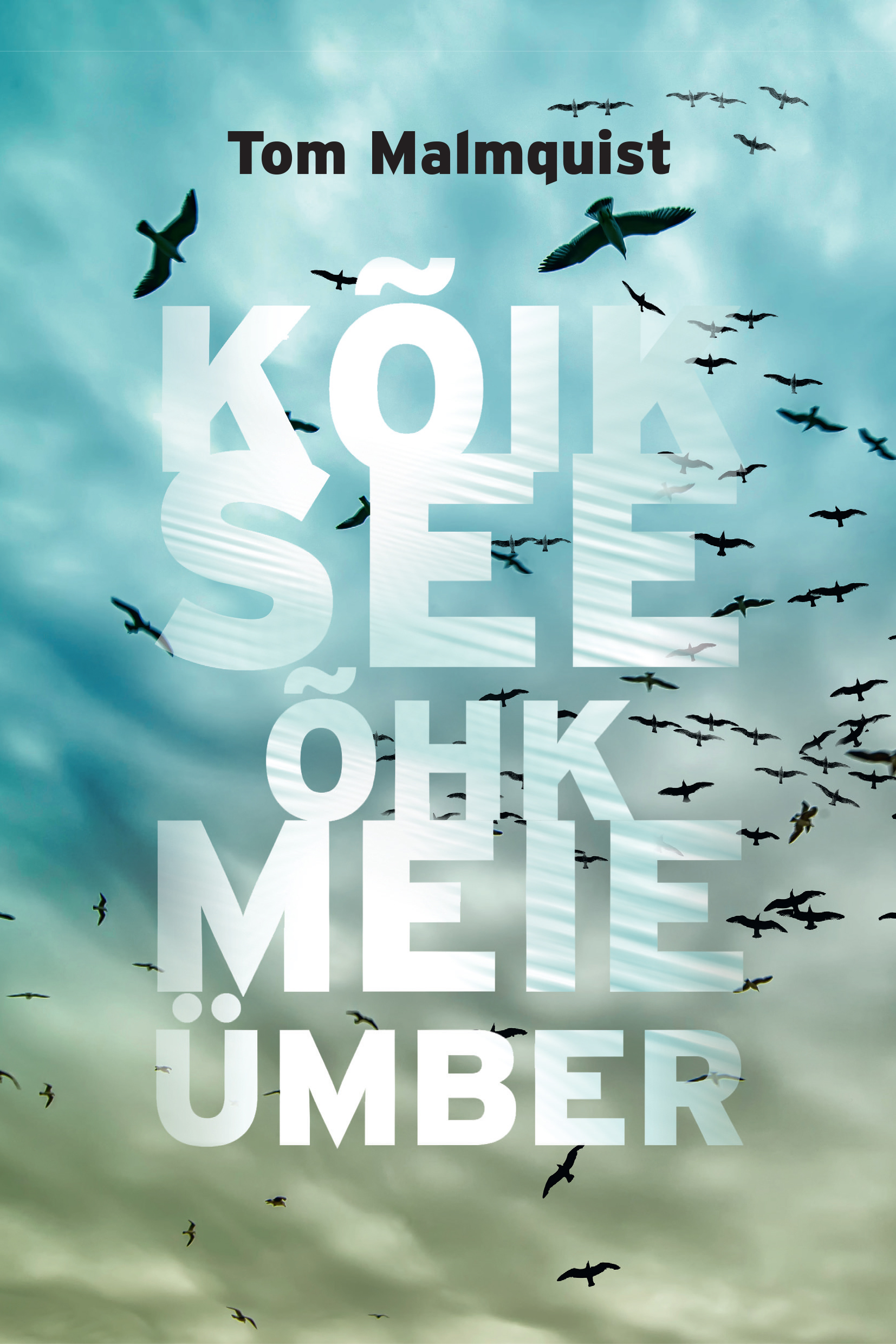 Kõik see õhk meie ümber - Tom Malmquist