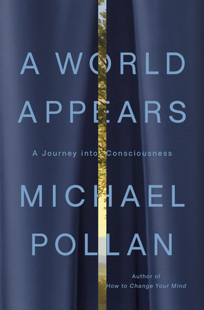 World Appears: A Journey into Consciousness