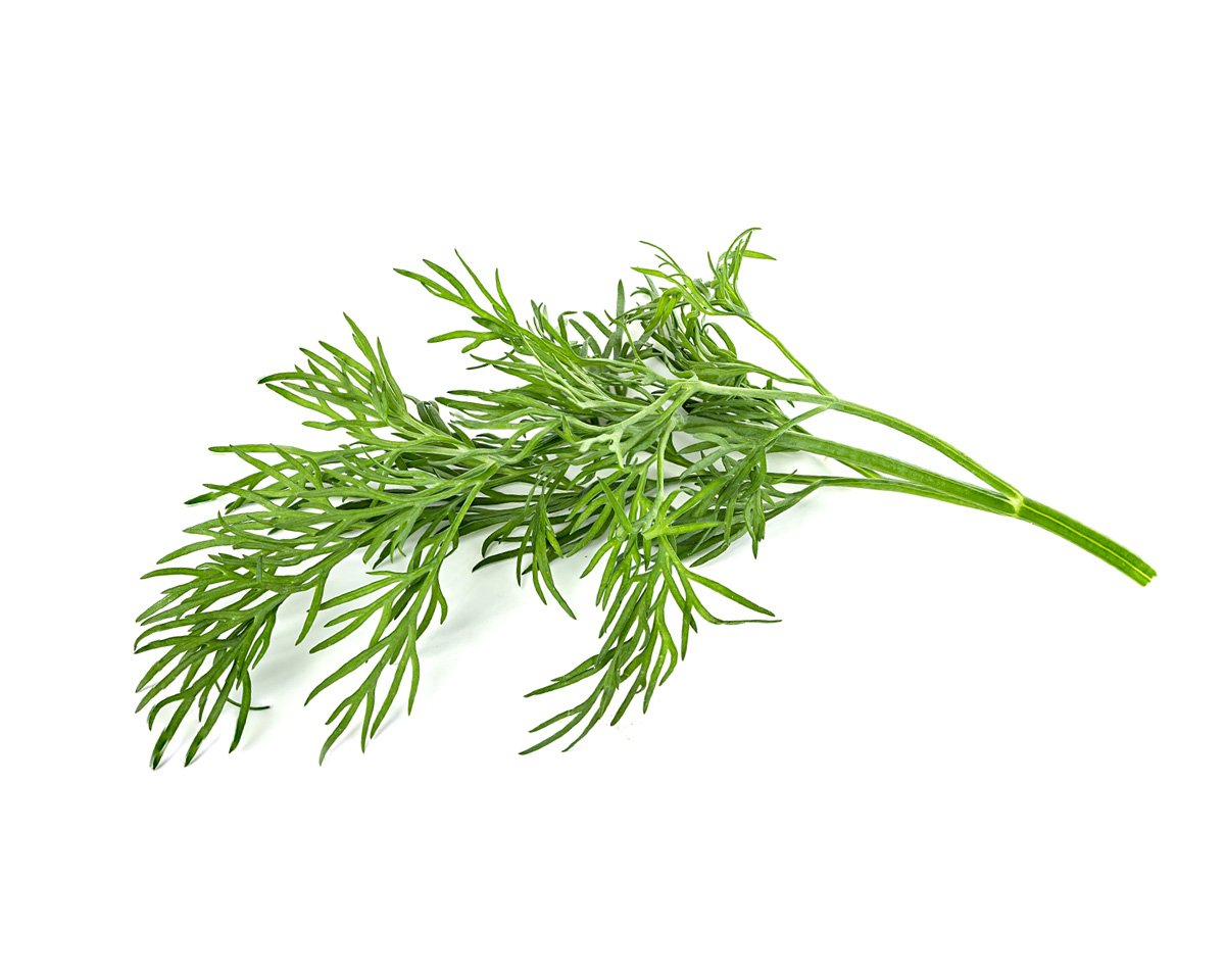 CLICK & GROW: 3 TAIMEKASSETTI, TILL