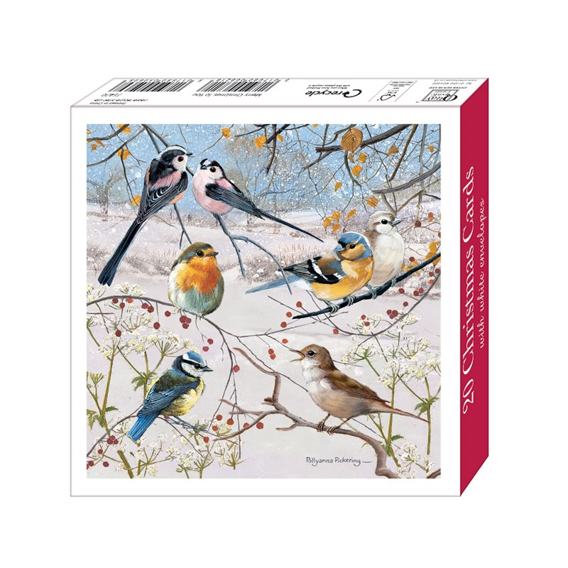 Jõulukaartide komplekt Birds & Berries, 20tk