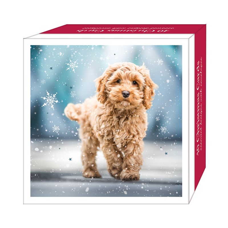 Jõulukaartide komplekt Christmas Pups, 40tk