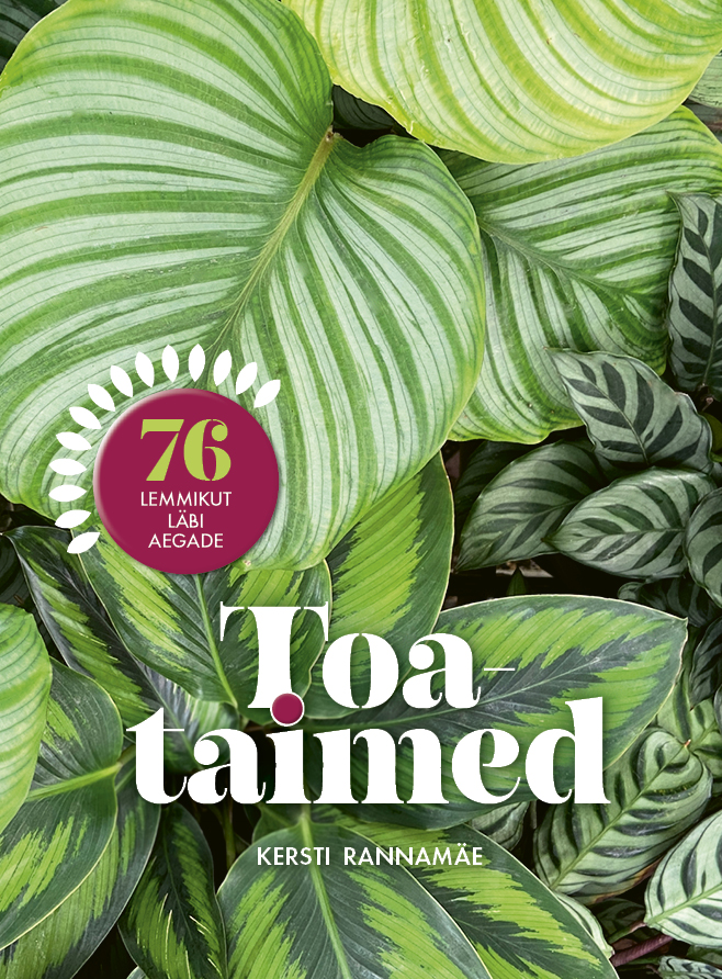 Toataimed. 76 lemmikut läbi aegade