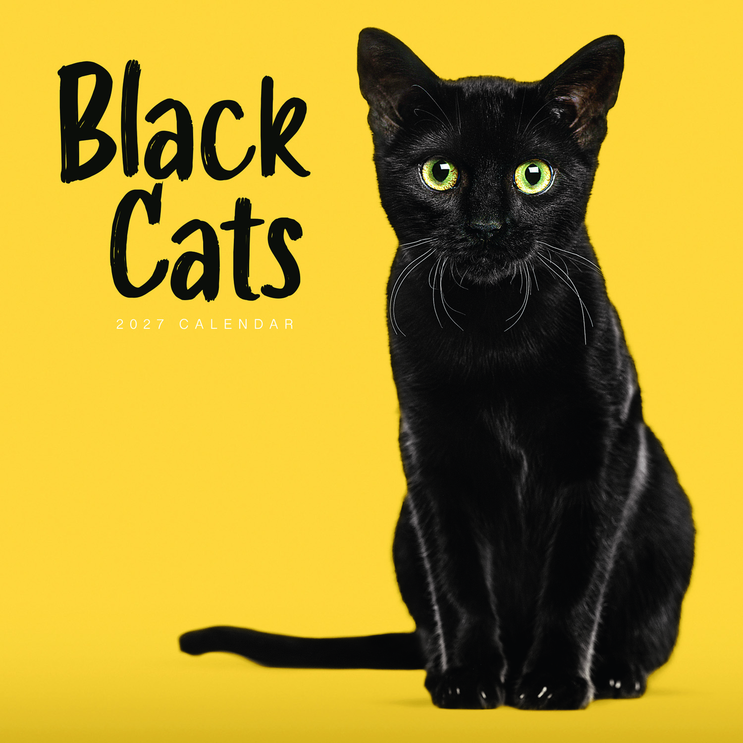 2027 seinakalender Black Cats