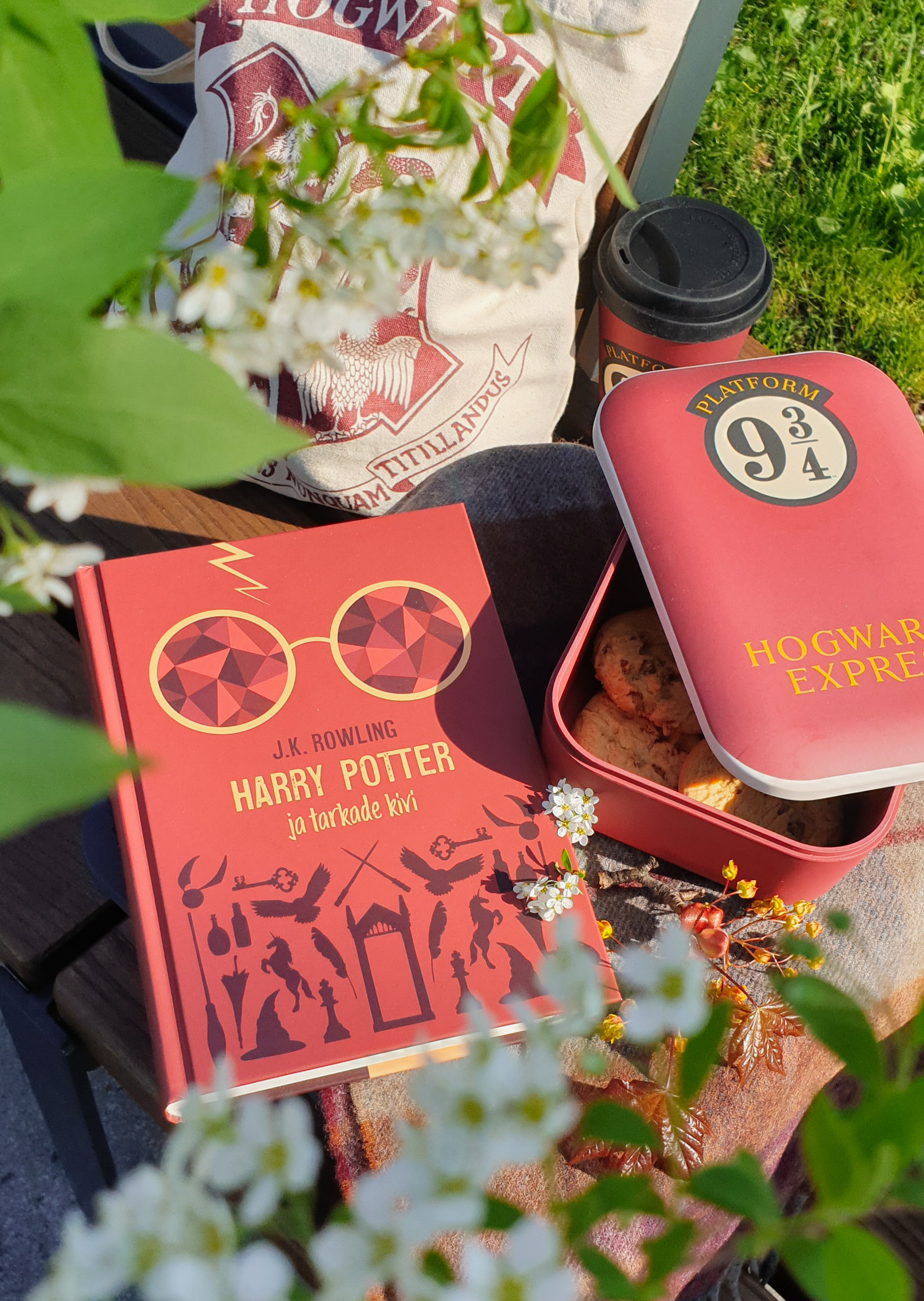 Harry Potter ja tarkade kivi I osa