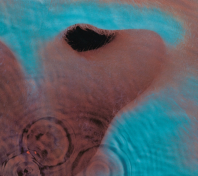 Pink Floyd - Meddle (1971) CD