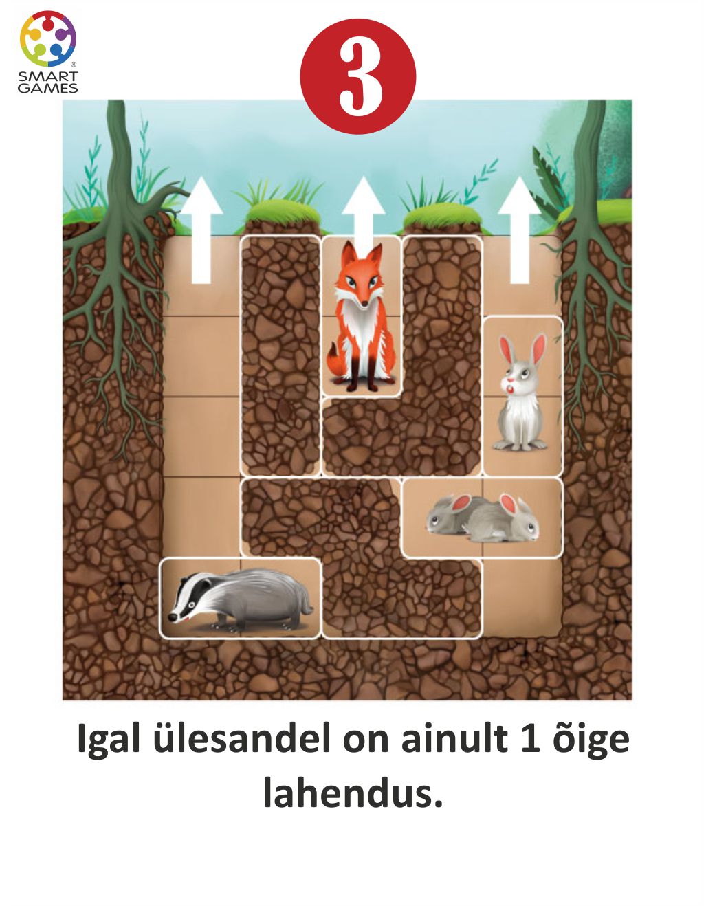 SMART GAMES REISIMÄNG TAIBUKATE JÄNKUDE URG