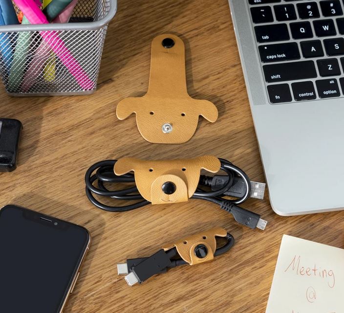 JUHTMEHOIDJATE KOMPLEKT DOG, 3TK