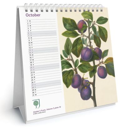 2018 Lauakalender Rhs Fruits & Flowers