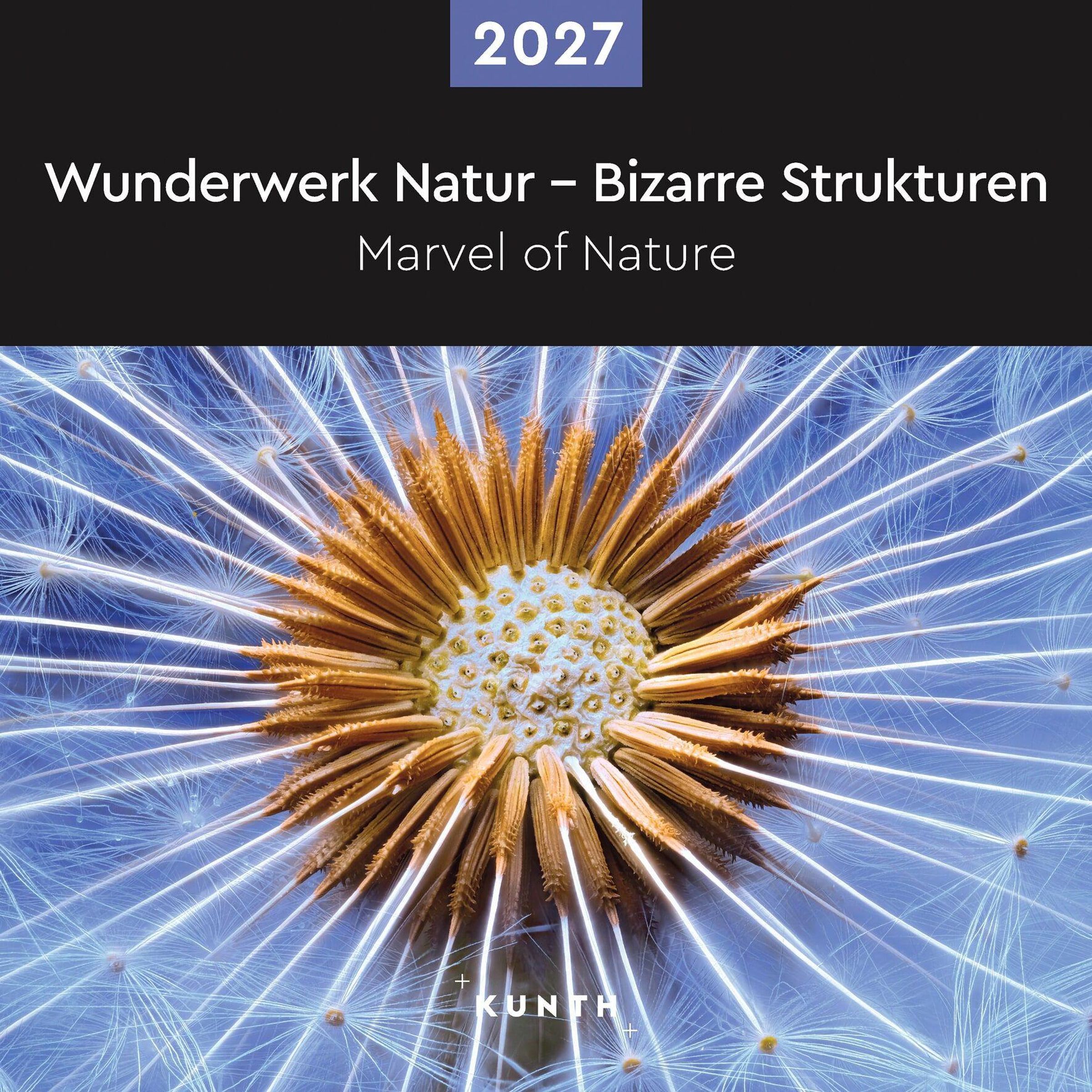2027 seinakalender Wunderwerk Natur: Strukturen, 30x30cm
