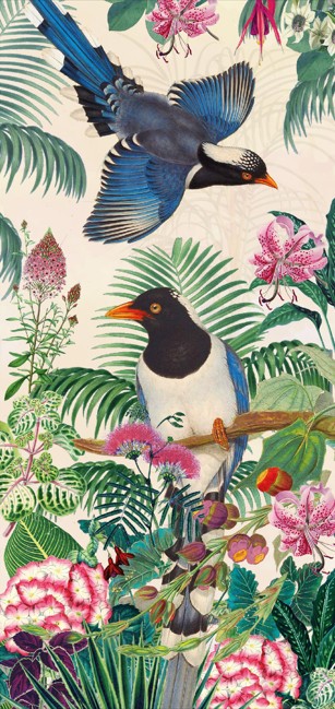 Õnnitluskaart Birds