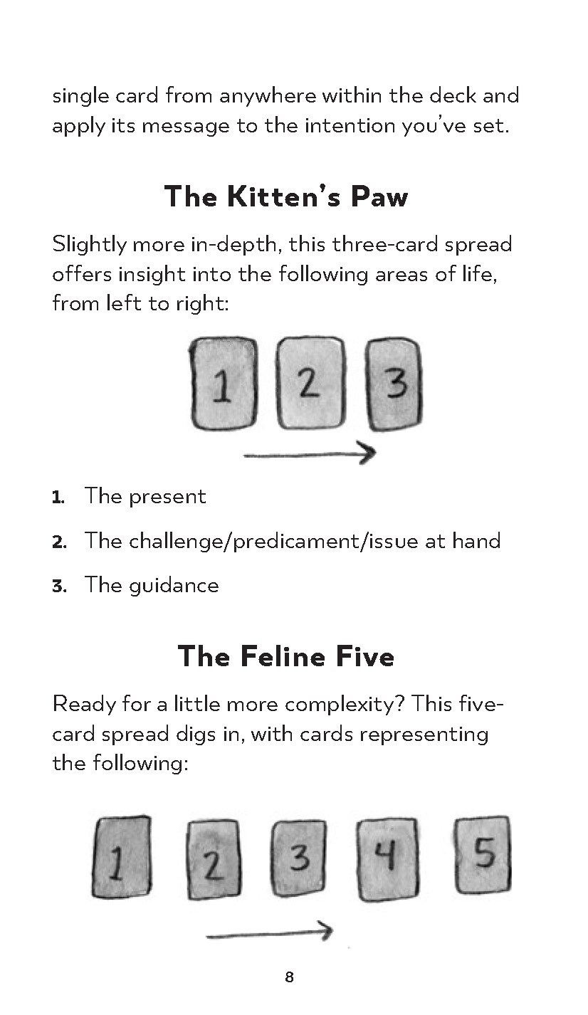 Kitten Oracle: 50 Cards & Guidebook - Megan Lynn Kott