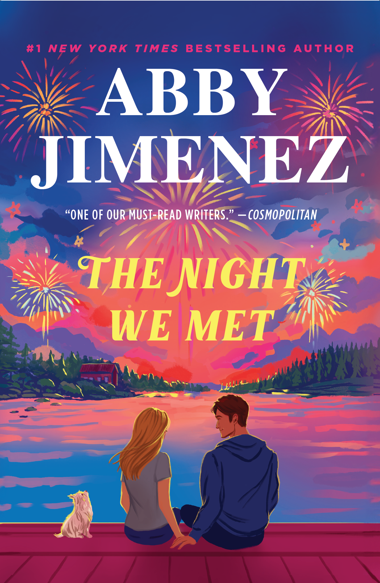 Night We Met