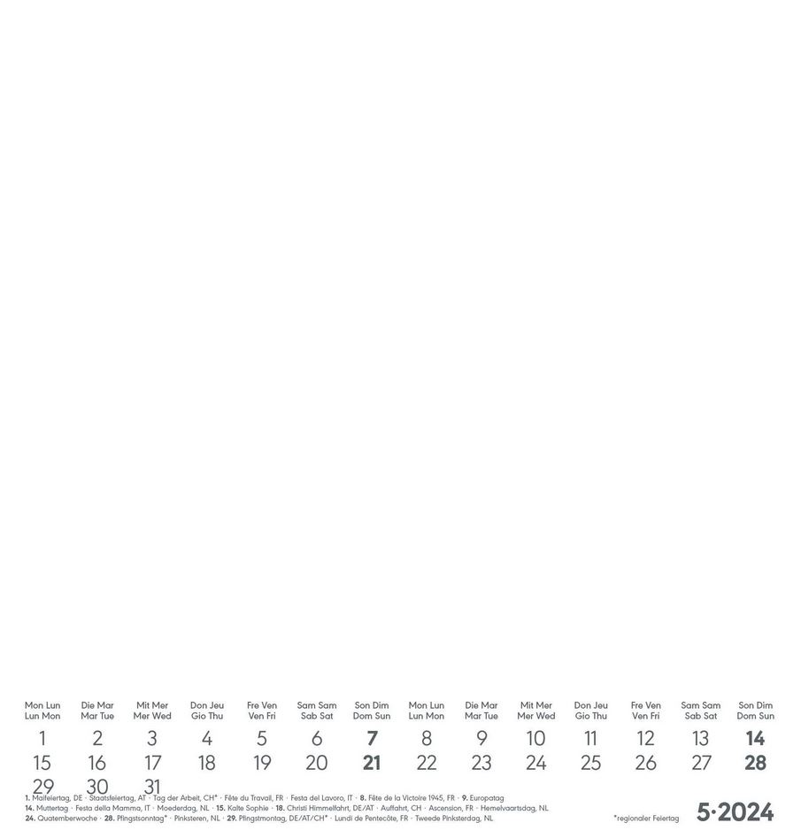 2024 seinakalender Do-it-yourself Foto-Bastel, Gold, 23x21cm