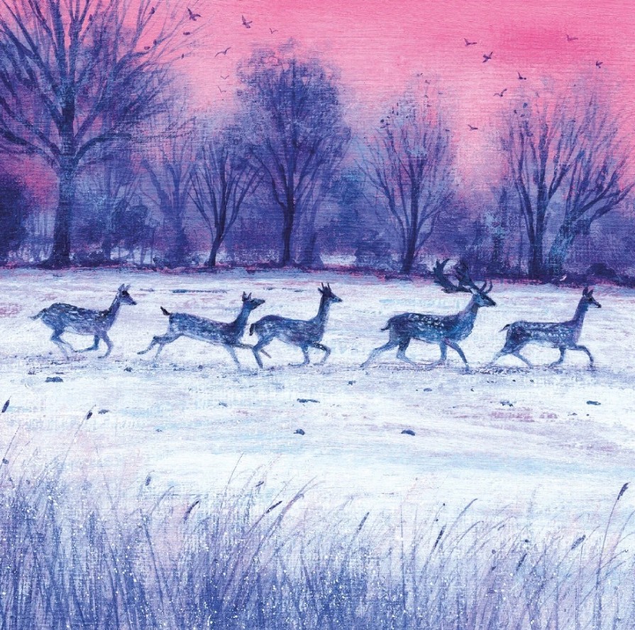 Jõulukaartide komplekt Dusk & Dawn, 4x5 kaarti