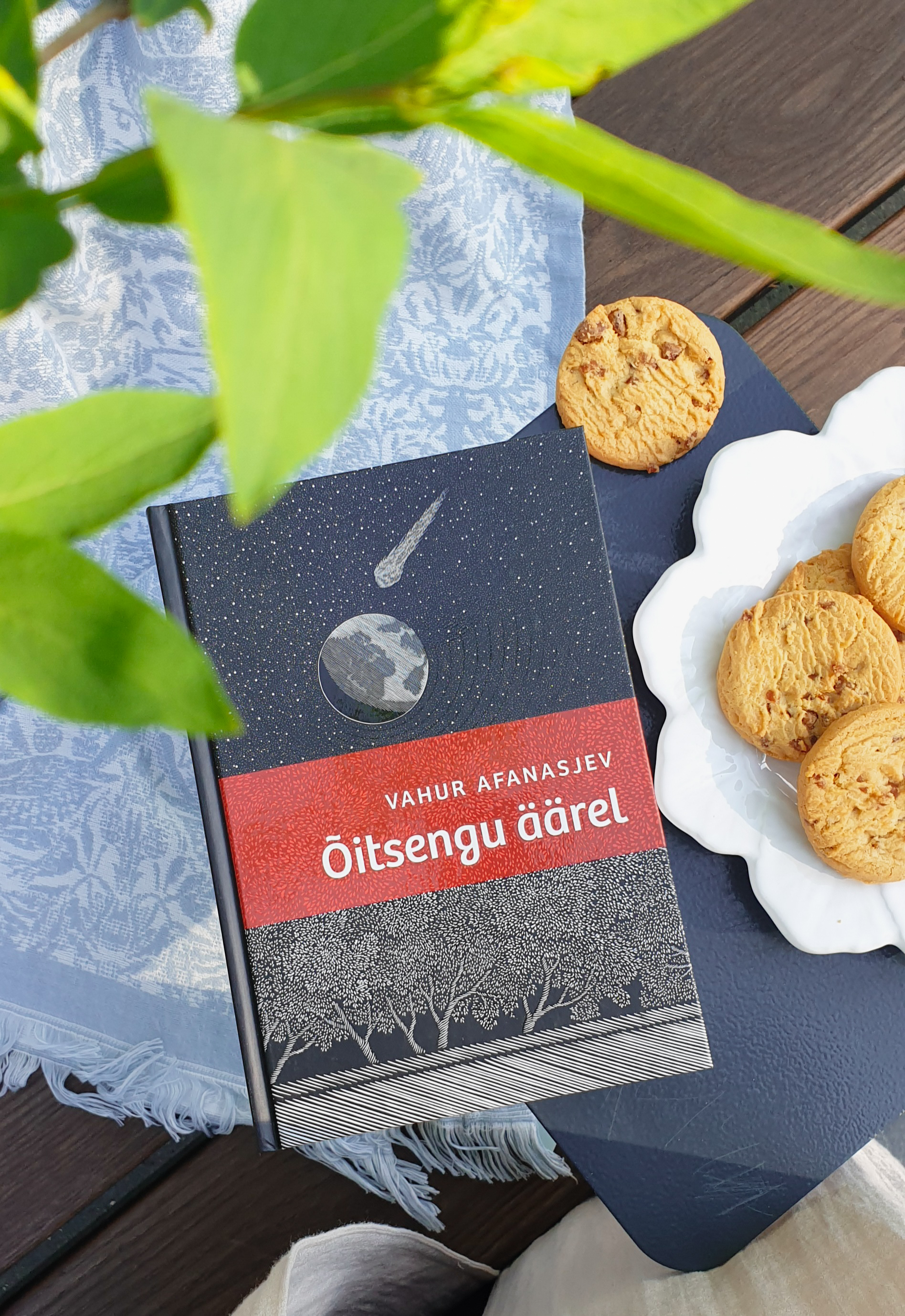 Õitsengu äärel - Vahur Afanasjev