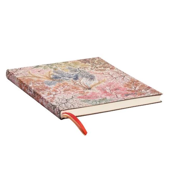 2024 Paperblanks Vertical Ultra Flexi Anemone