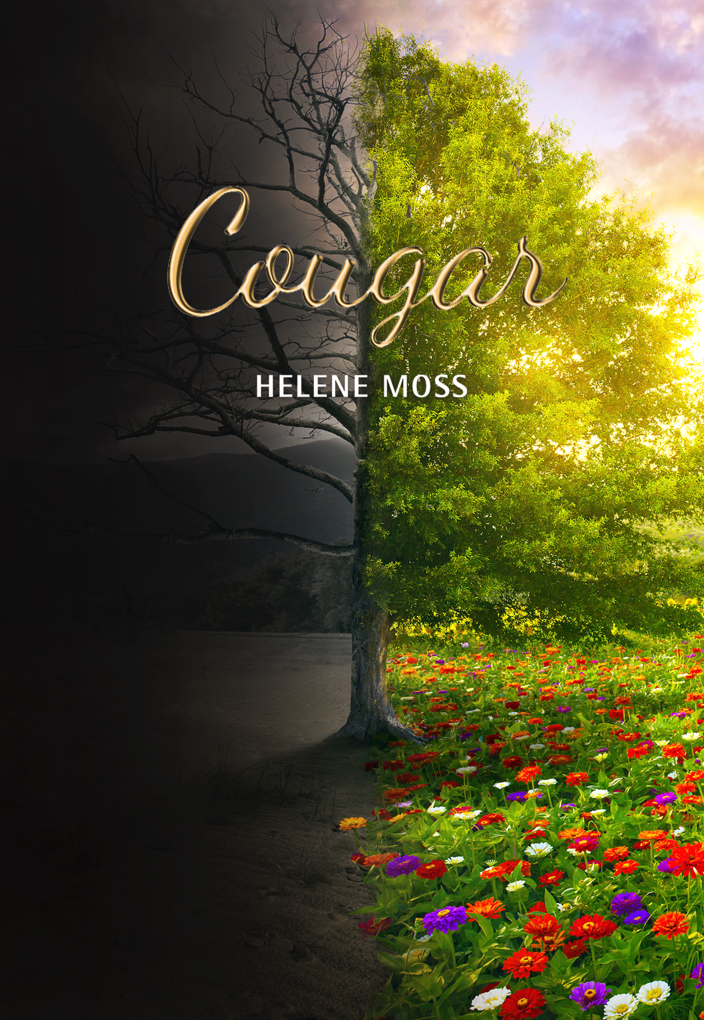 COUGAR. 4. OSA