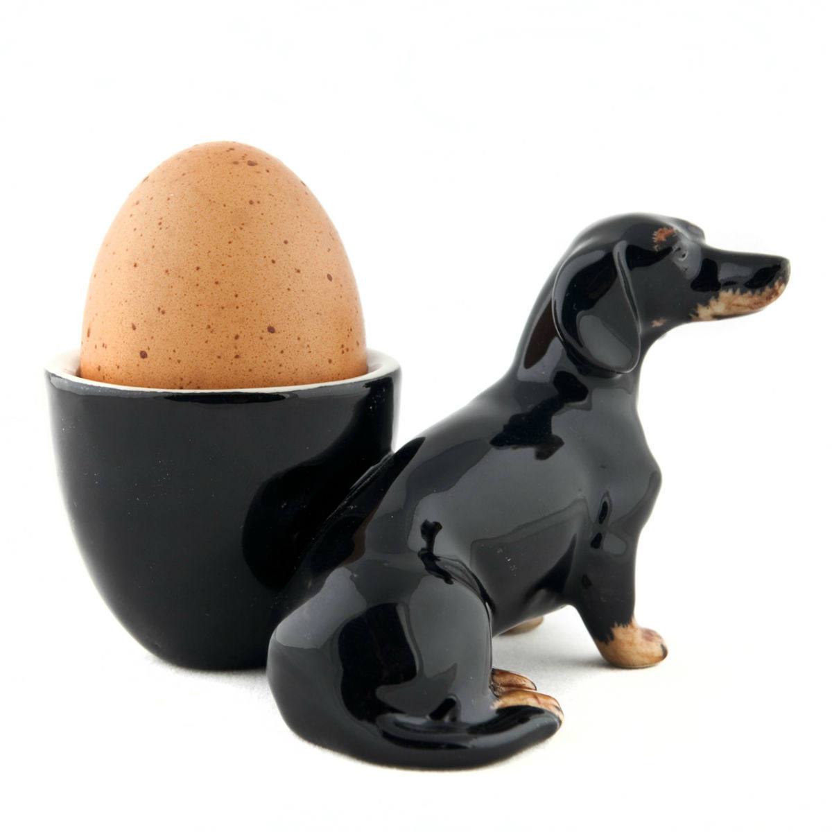 QUAIL MUNATOOS DACHSHUND
