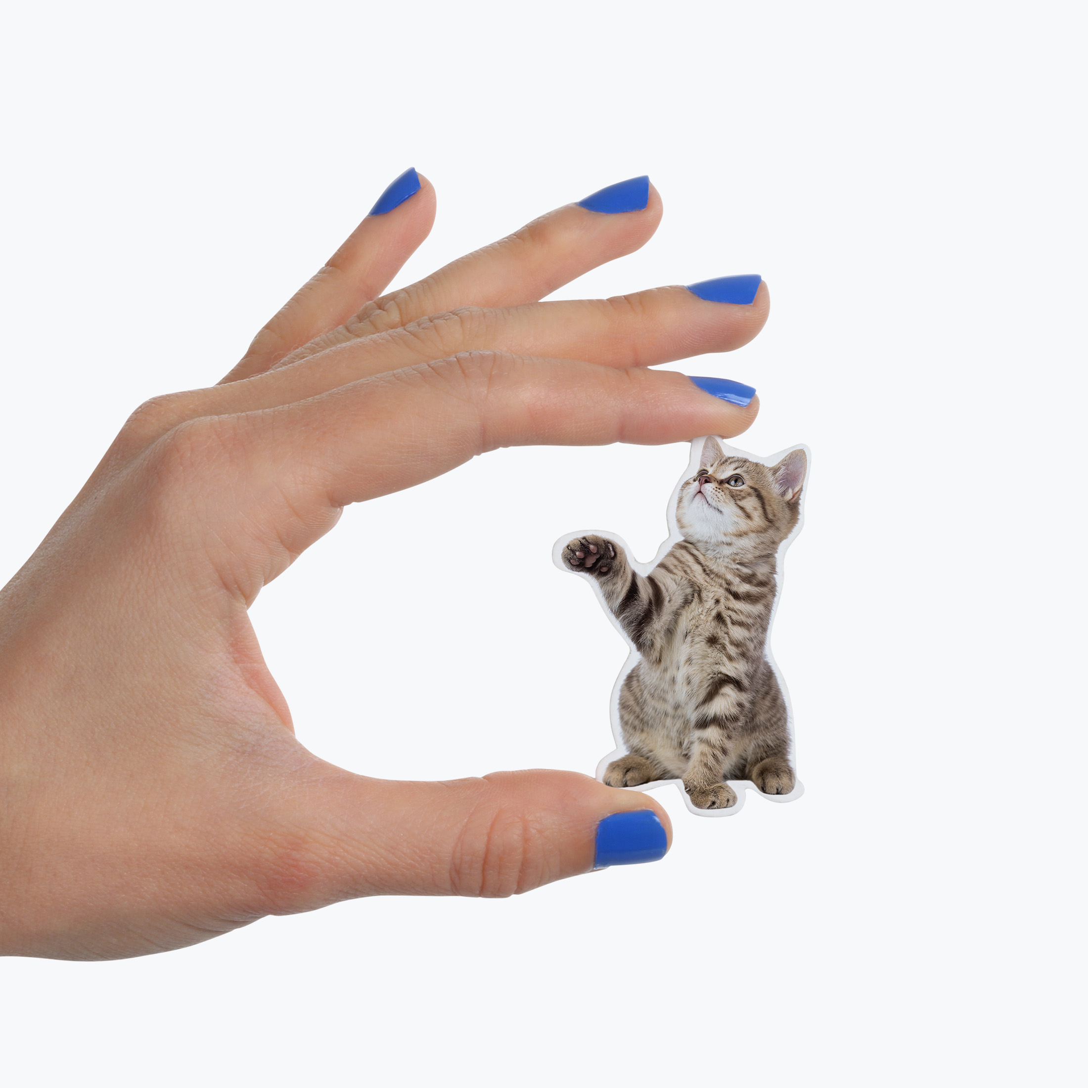 MAGNETITE KOMPLEKT ACTION CAT, 12TK