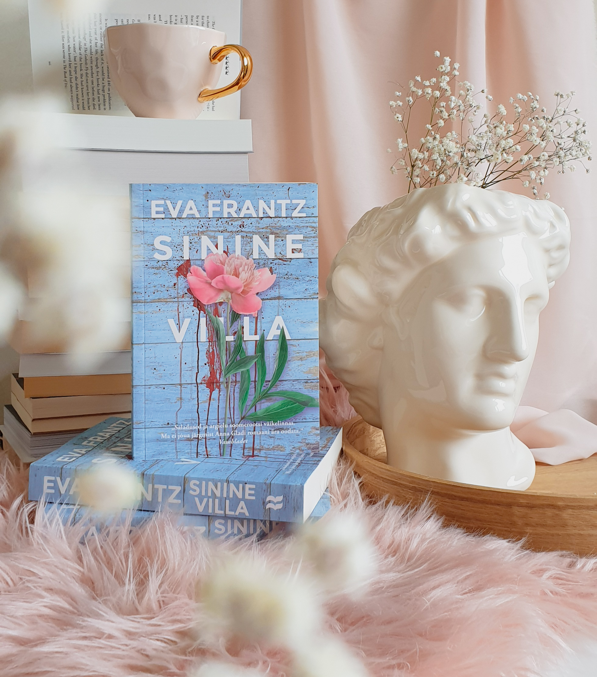 Sinine villa - Eva Frantz