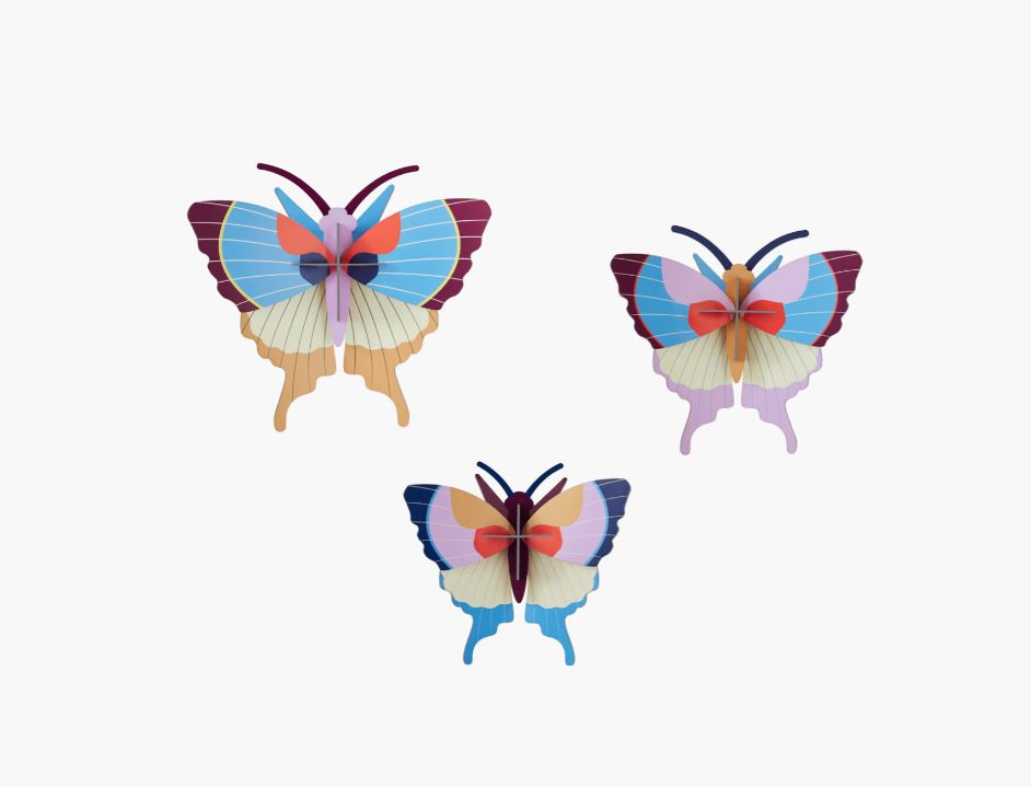 Seinakaunistused Big Insects, Plum Fringe Butterfl