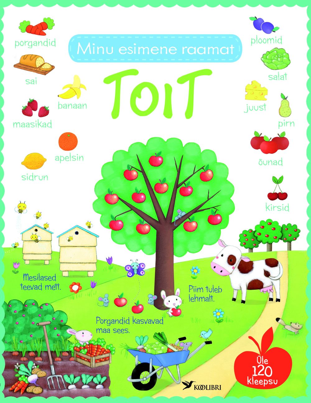 MINU ESIMENE RAAMAT. TOIT