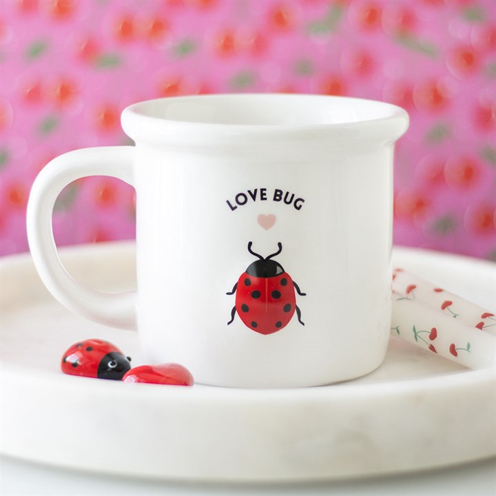 Kruus Love Bug 3D lepatriinuga