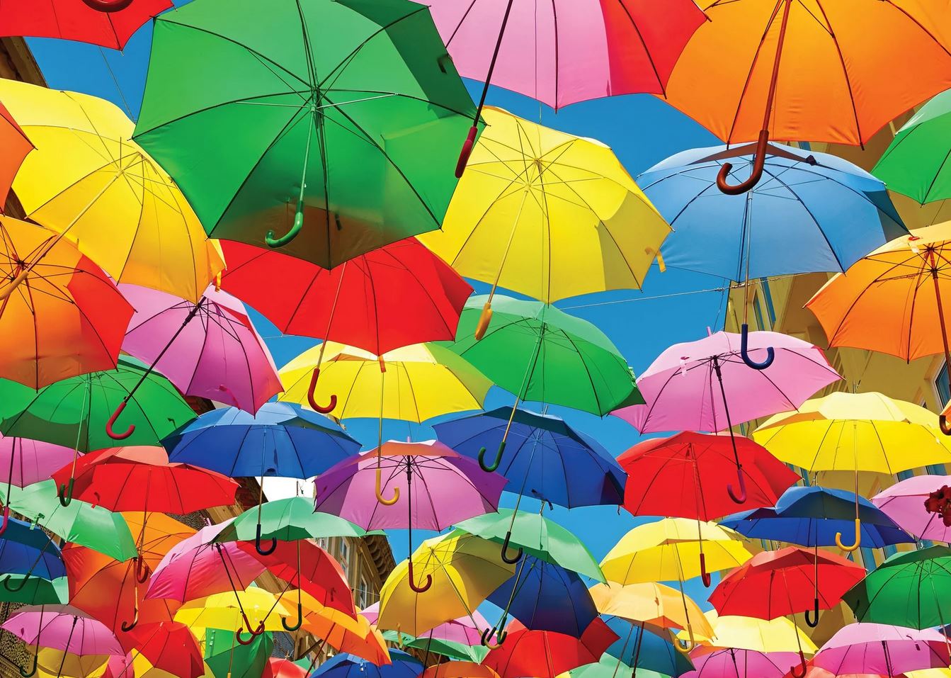 Pusle All the Umbrellas, 1000tk