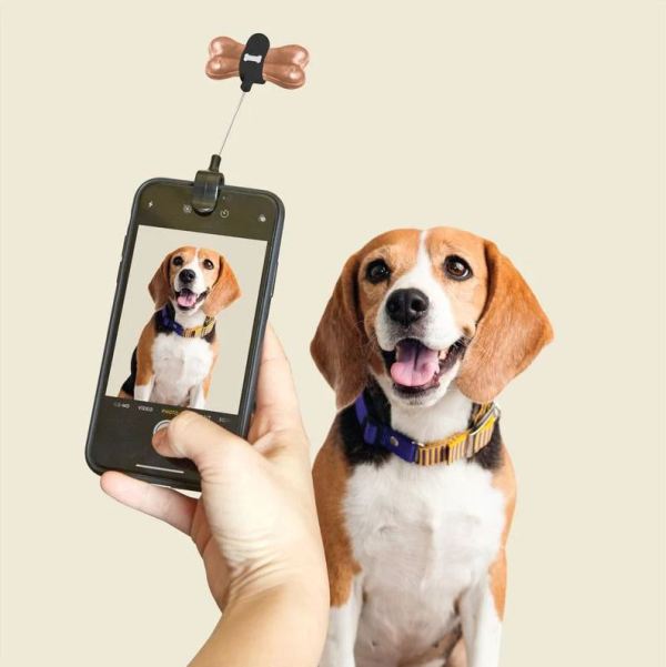 Nutitelefonile kinnitatav koeramaiuse hoidik Dog Treat Selfie Clip