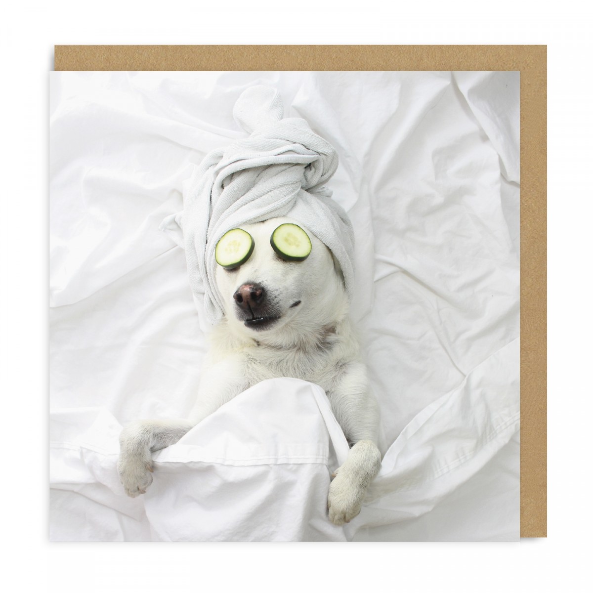 Õnnitluskaart Pampered Pooch, Square
