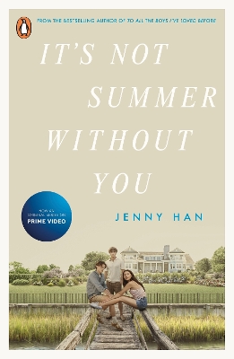 It's Not Summer Without You (TV Tie-In)