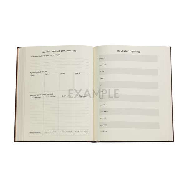 2022 Paperblanks Ultra Flexi Business Planner Inkblot Bold