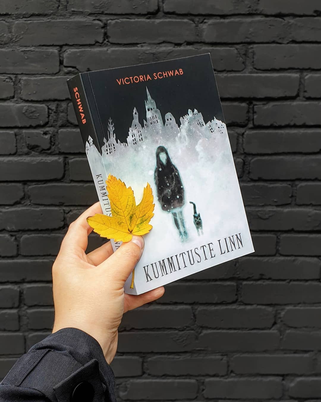KUMMITUSTE LINN - Victoria Schwab