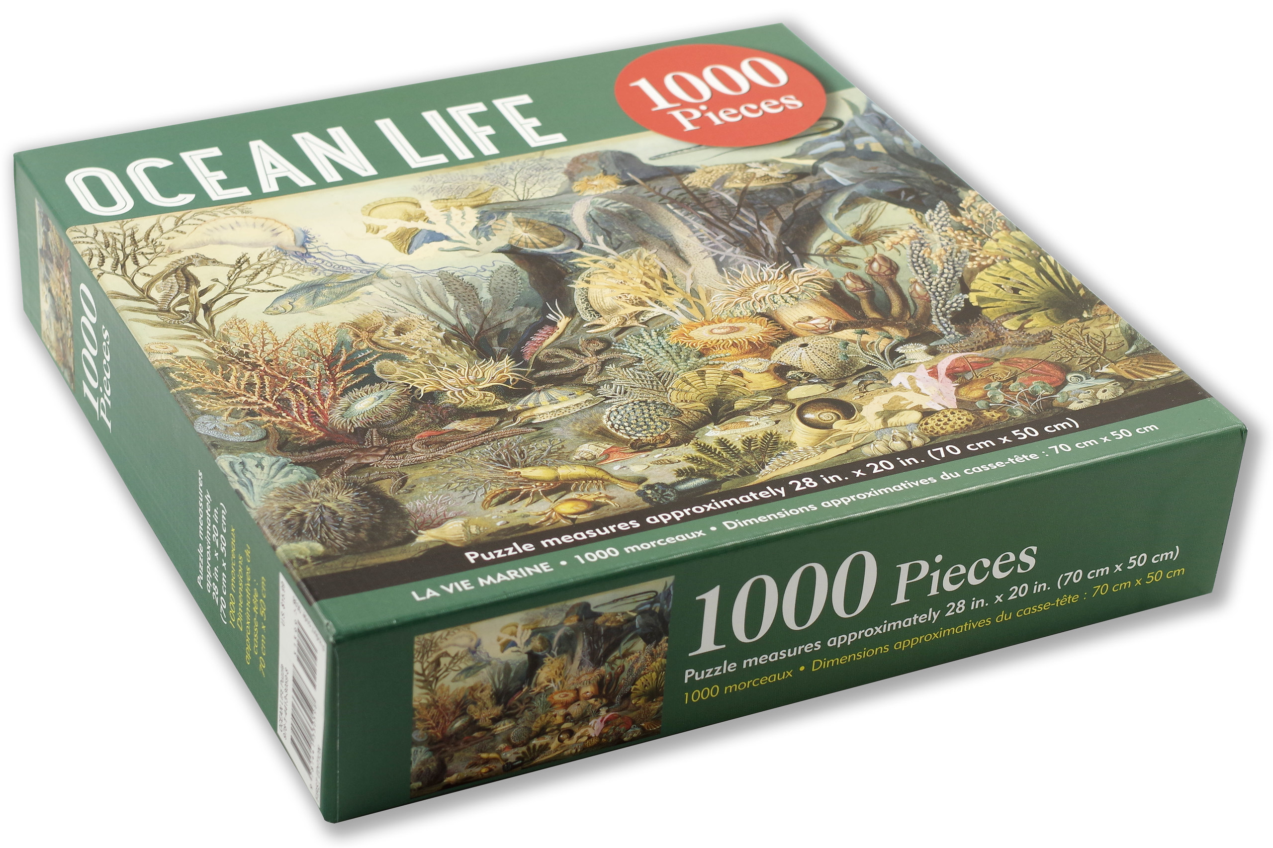 PUSLE OCEAN LIFE, 1000TK
