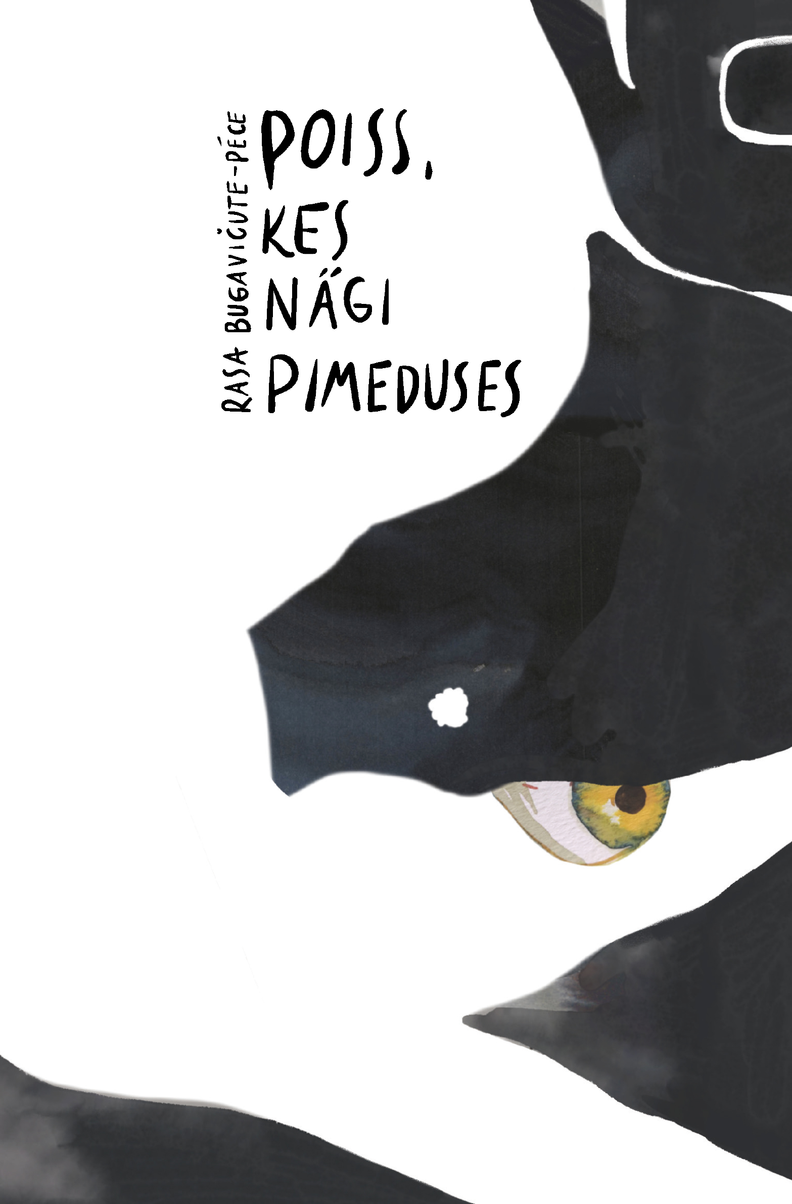 Poiss, kes nägi pimeduses - Rasa Bugavičute-Pēce