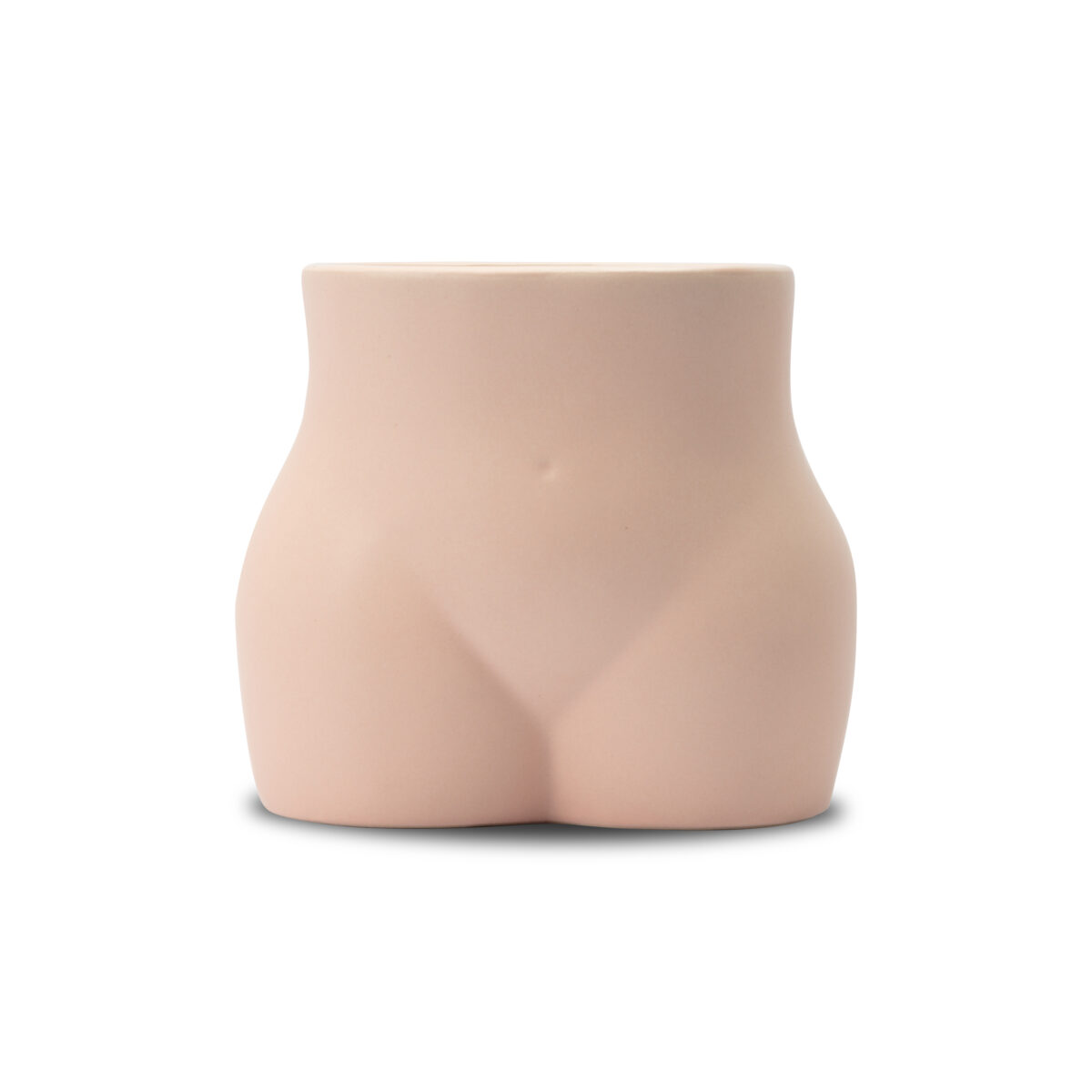 MAEGEN LÕHNAKÜÜNAL CURVE, FIG LEAF & FERN, 453G