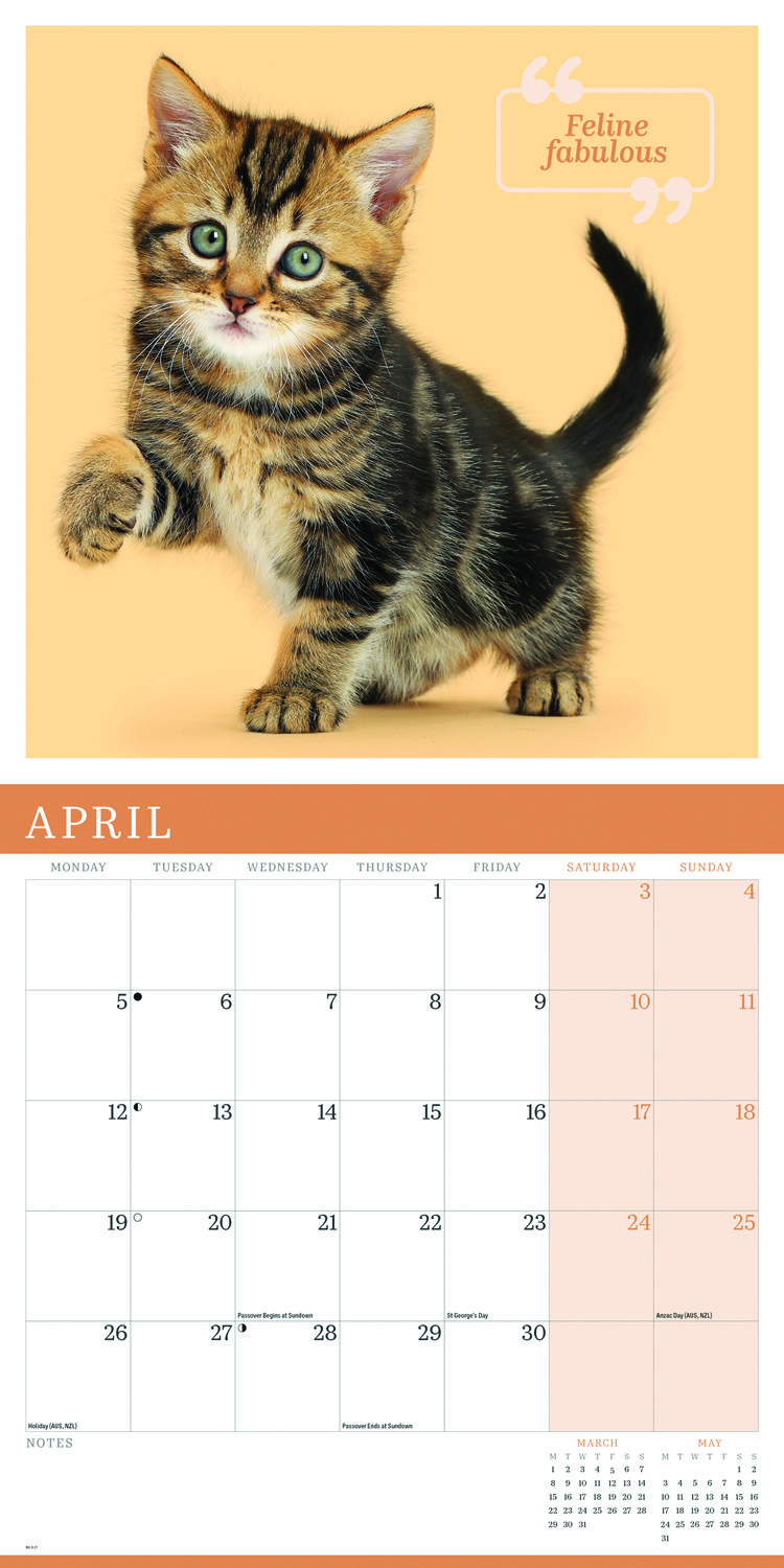 2027 seinakalender Cute Cats
