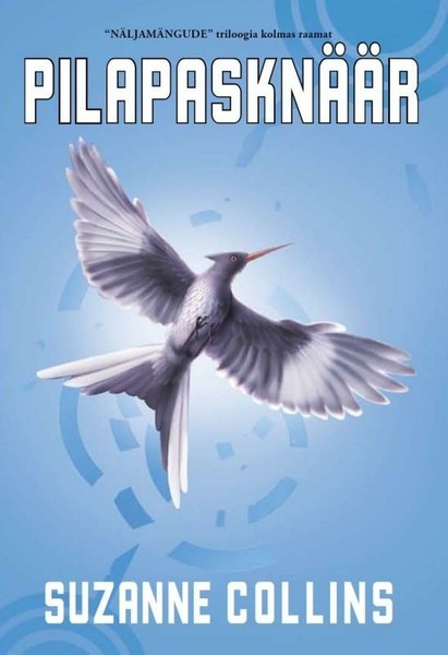 E-raamat: Pilapasknäär