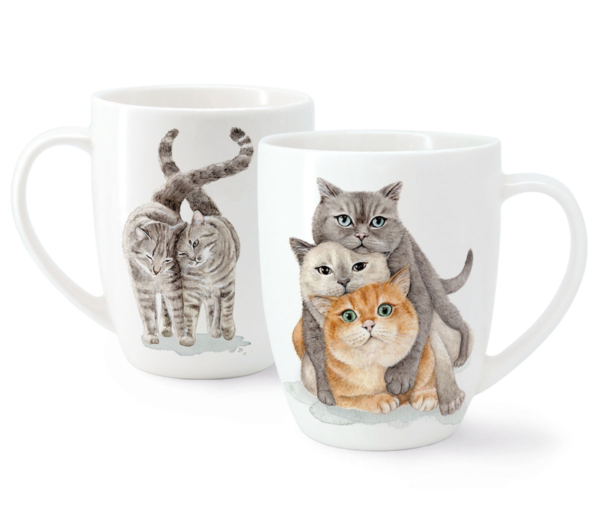 Kruus Cat Buddies