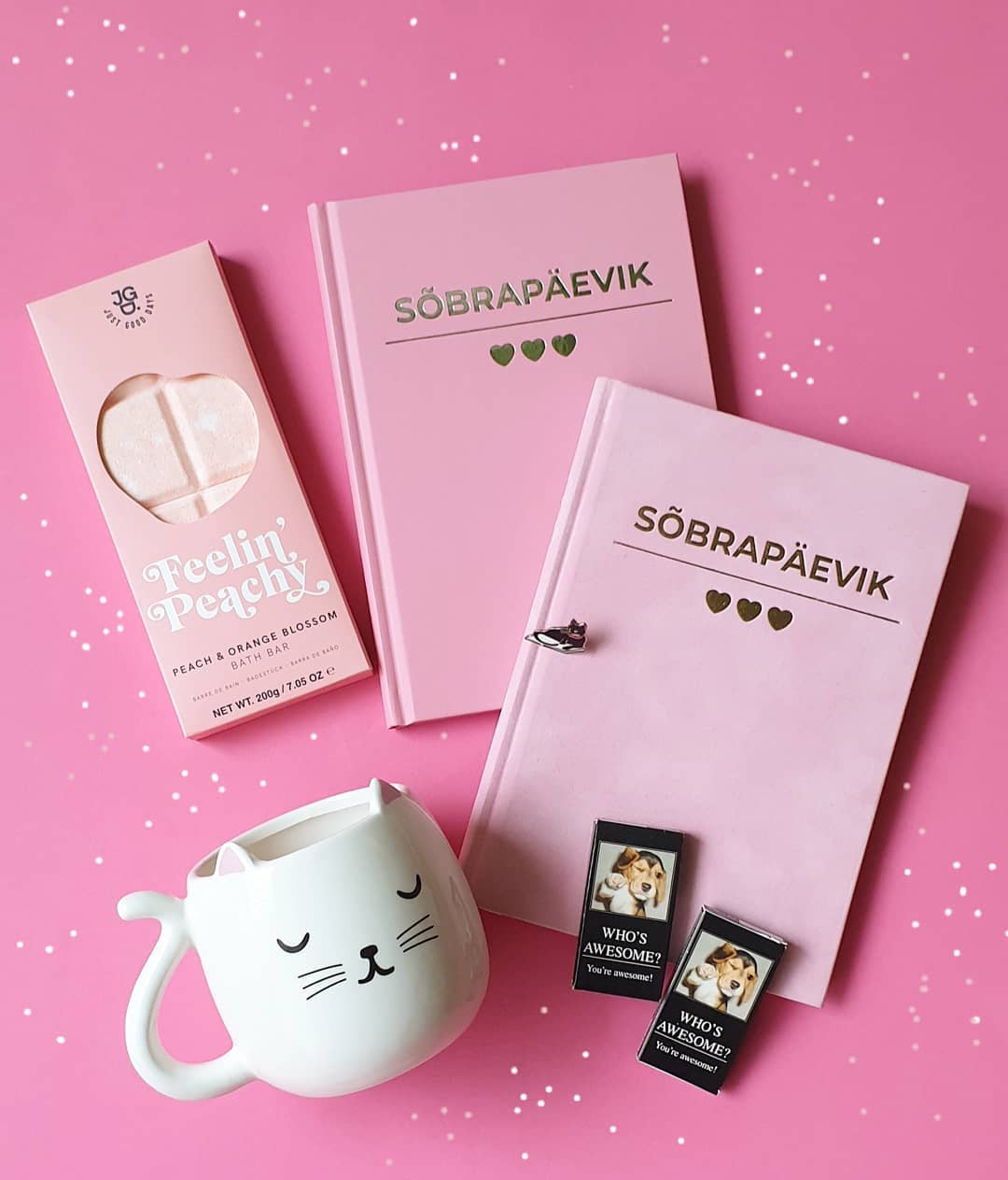 Sõbrapäevik