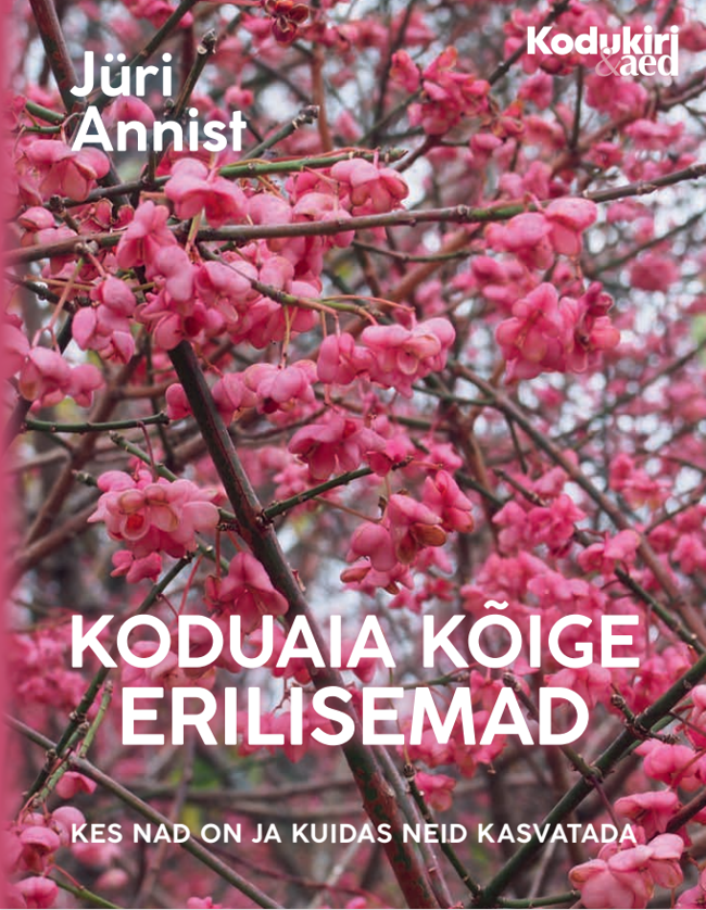 Koduaia kõige erilisemad