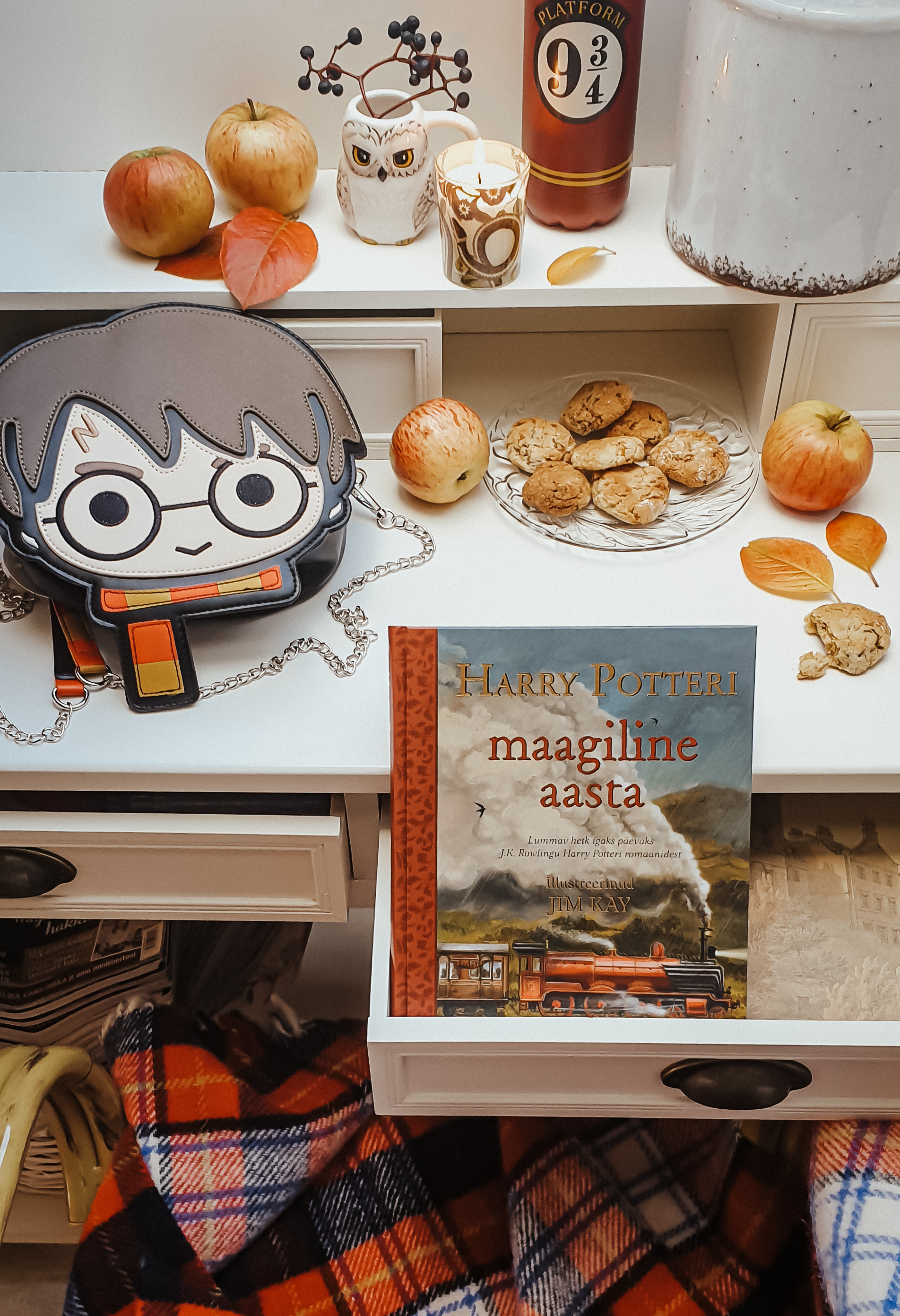 HARRY POTTERI MAAGILINE AASTA. LUMMAV HETK IGAKS PÄEVAKS J.K. ROWLINGU HARRY POTTERI ROMAANIDEST