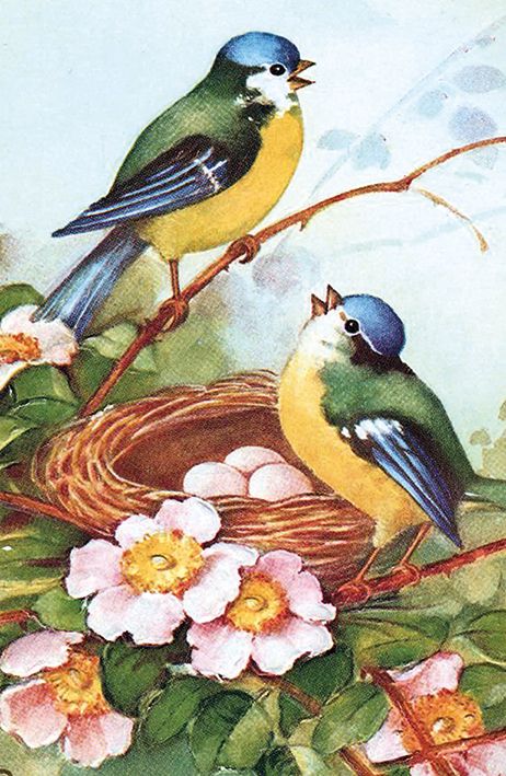 Lihavõttekaart Bluetits