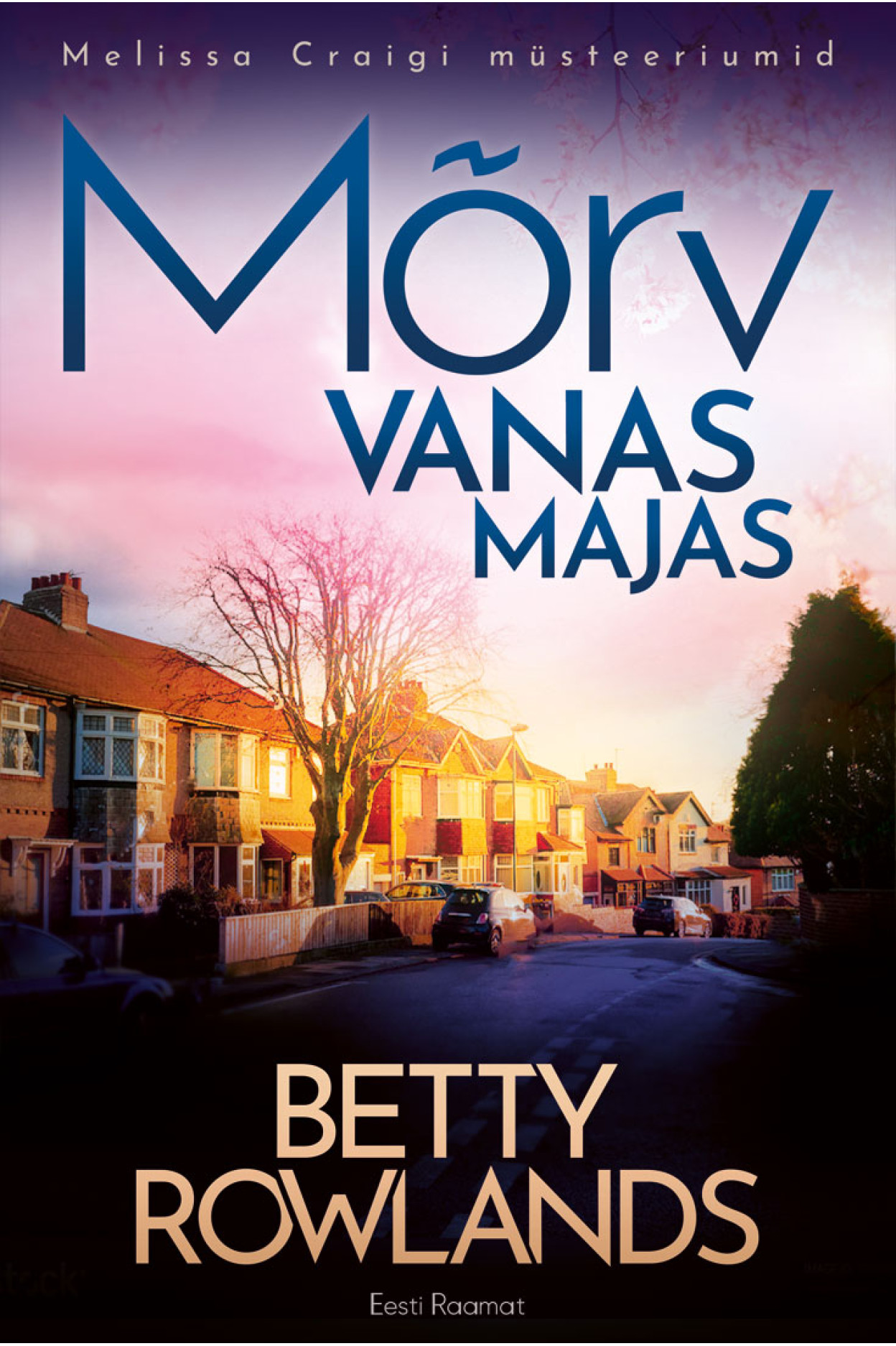 E-raamat: Mõrv vanas majas