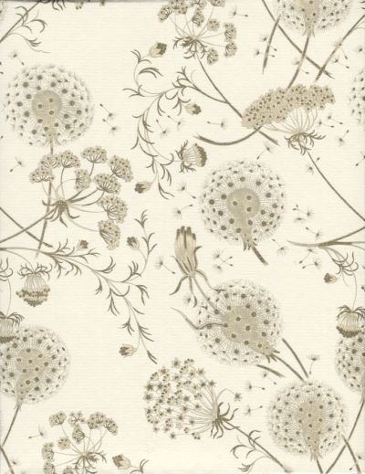 Classica Italiana kirjavahetuse komplekt Dandelion, 10 paberit + 10 ümbrikku