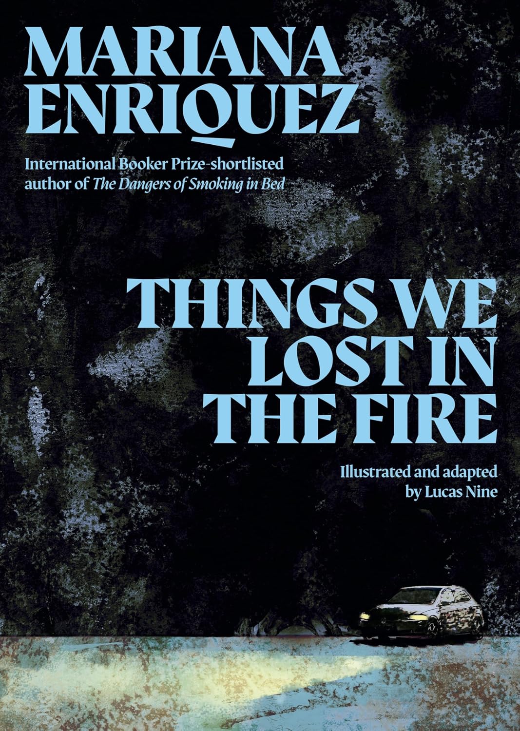 Things We Lost in the Fire (Four Graphic Stories)